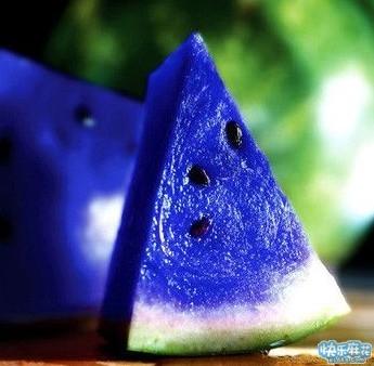 蓝色的西瓜,你,敢吃吗_搞笑_hao123上网导航